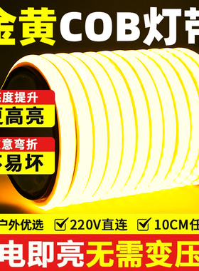 led硅胶灯带户外防水灯条COB线形灯客厅自粘220v超亮户外亮化照明