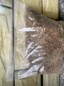 仙人球 自配营养土 麒麟专用营养土 5斤重