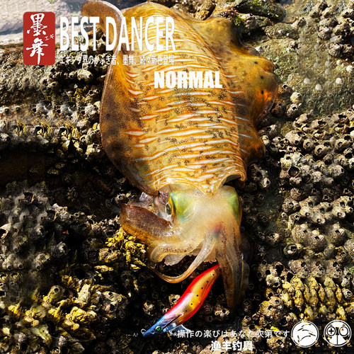 绿墨舞镭射夜光闪片木虾鱿鱼钩