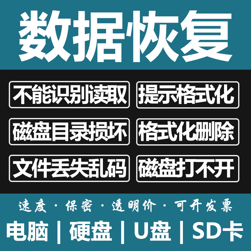 电脑固态移动硬盘数据恢复U盘维修内存SD卡照片文件远程修复服务 本地化生活服务 数据恢复 原图主图