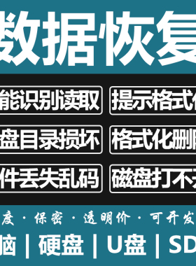 电脑固态移动硬盘数据恢复U盘维修内存SD卡照片文件远程修复服务