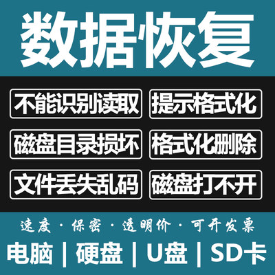 电脑固态移动硬盘数据恢复U盘维修内存SD卡照片文件远程修复服务