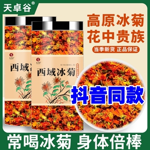 天卓谷西域冰菊新疆昆仑冰菊帕米尔高山雪域菊花茶泡水喝抖音同款