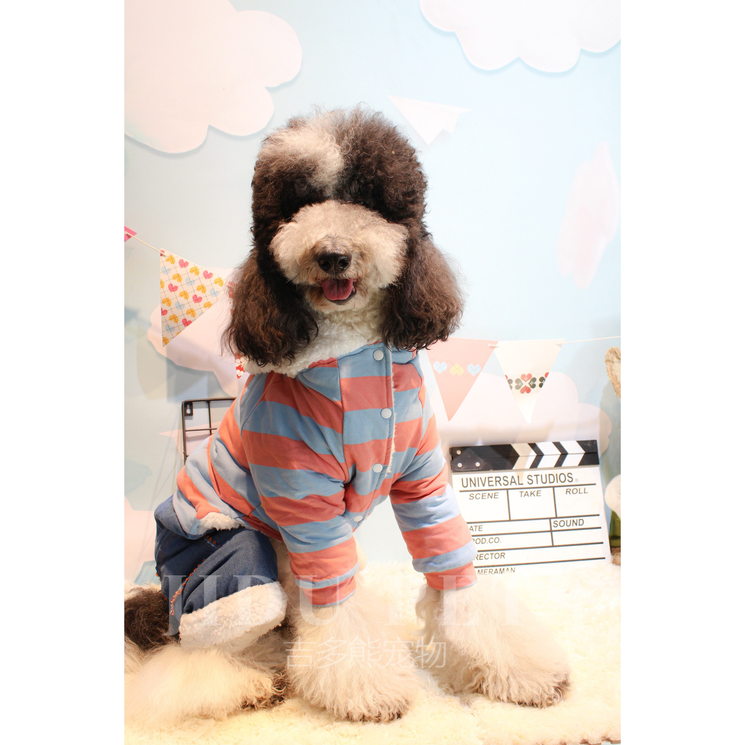 宠物四腿加绒超厚实大小狗都有