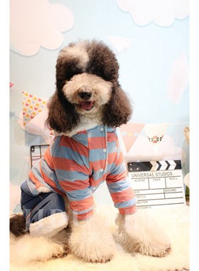 吉多熊包邮宠物狗狗衣服可爱绒秋冬加厚棉衣四脚四腿秋田柴犬巨贵