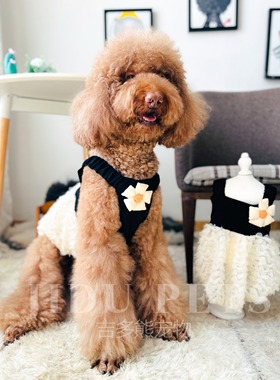 宠物衣服夏天南瓜裙可爱公主连衣裙蓬蓬吊带裙子礼服巨贵金毛萨摩