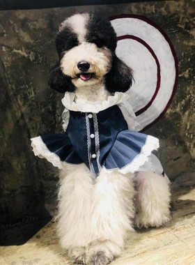 吉多熊家包邮大型犬小型犬牛仔公主连衣裙宠物狗衣服金毛巨贵萨摩