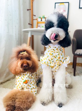 韩国网红蝴蝶结狗狗胡萝卜蕾丝连衣公主裙子比熊雪纳瑞巨贵犬衣服