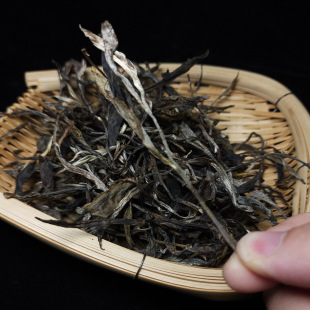 【顺丰】2025年老曼峨古树秋茶普洱生茶生津回甘快喉咙清凉滋润