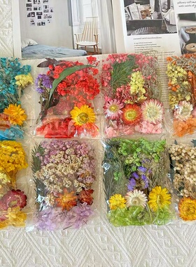 混装干花DIY手工蜡烛石膏真花风干永生花多色活动材料包相框团建