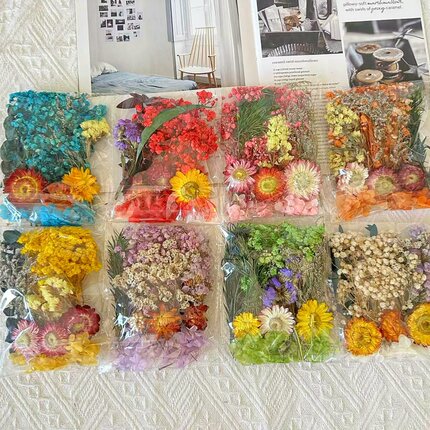 混装干花DIY手工蜡烛石膏真花风干永生花多色活动材料包相框团建