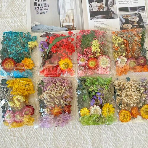 混装干花DIY手工蜡烛石膏真花风干永生花多色活动材料包相框团建