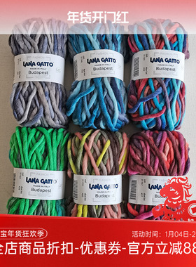 进口 LANA GATTO 纯羊毛段染粗线 Budapest 秋冬毛线 100克50米
