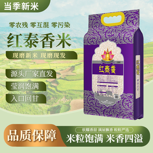 【京山大米】红泰香米长粒米当季新米