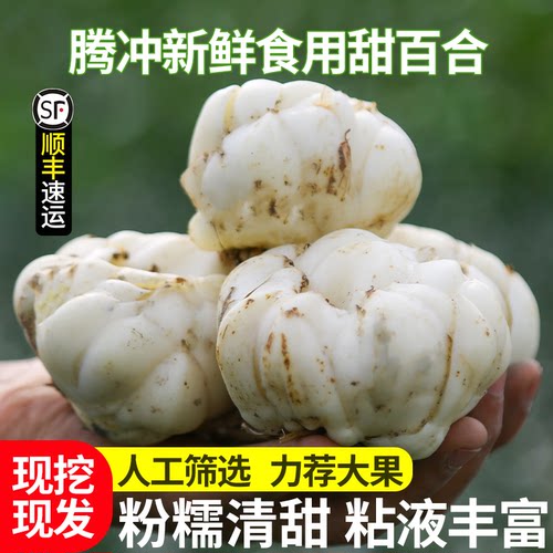 云南腾冲新鲜百合粉糯香甜