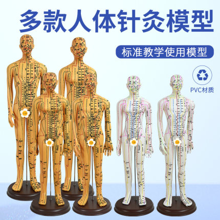 人体针灸模型经络穴位中医全身十二铜人模特图软胶扎针练习小皮人