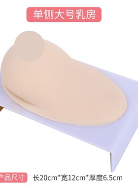 蓝蝶模型催乳培训教学模型