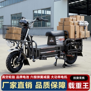 载重王电动车拉货外卖电瓶车长跑王72V60V两轮路霸大力神踏板电摩