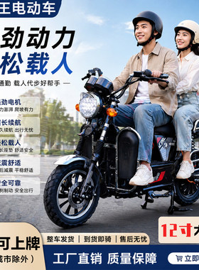 拉货载客大功率电动摩托车