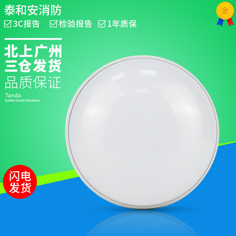 泰和安集中电源控制型消防应急照明灯具吸顶嵌墙式疏散照明指示灯图片