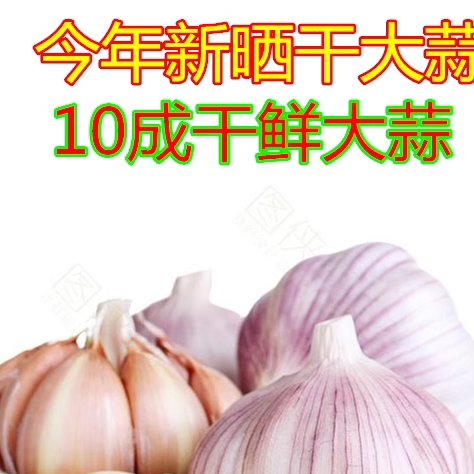 包邮今年新晒干紫皮大蒜头大蒜新鲜大蒜头低价新蒜干蒜