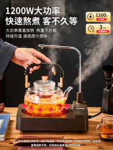 煮茶器煮茶炉自动上烧水一体机电陶炉家用围炉泡茶具专用玻璃茶壶