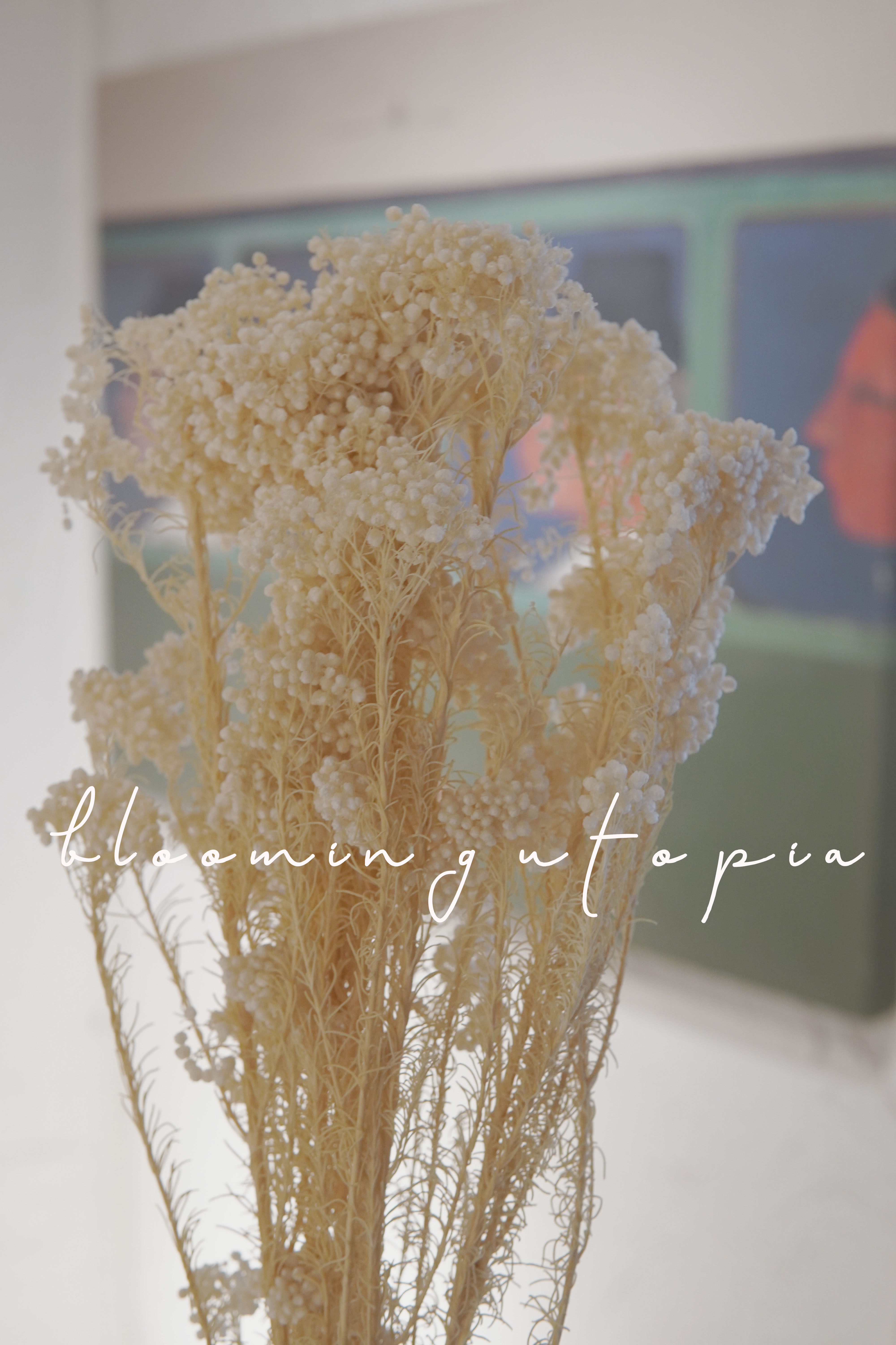 小米花干花永生花ins花束北欧风家居装饰拍摄道具日系民宿摆件diy