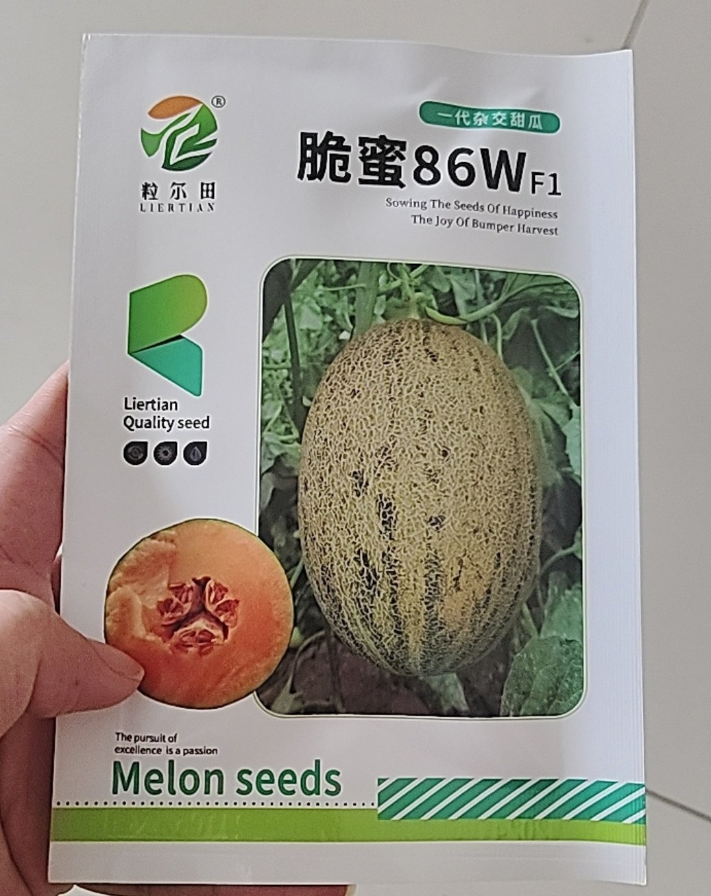 86哈密瓜种子黄皮覆斑点网纹瓜 肉质松脆蜜甜哈蜜瓜种子 大棚用种