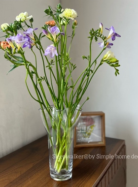 清栀｜透明裙摆白菜玻璃花瓶水养玫瑰插花轻奢高级感客厅餐桌摆件