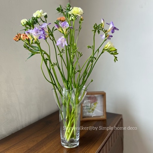 清栀｜透明裙摆白菜玻璃花瓶水养玫瑰插花轻奢高级感客厅餐桌摆件