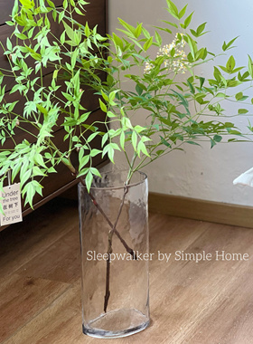 清风|高30/40 透明锤纹异形玻璃花瓶 绣球龟背竹绿植水培花瓶花器
