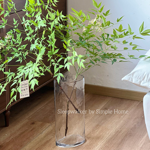 清风|高30/40 透明锤纹异形玻璃花瓶 绣球龟背竹绿植水培花瓶花器