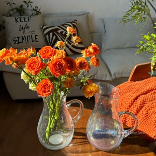 外贸出口炫彩单耳壶水培花器家用冷水壶 冬青洋牡丹玫瑰