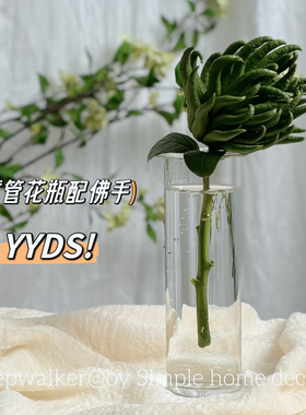 简约透明玻璃细长试管花瓶佛手柑花瓶桌面摆件 餐厅桌面花瓶