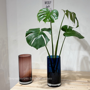 北欧圆口厚重水培器皿龟背竹玫瑰郁金香水养春羽绿植玻璃花瓶