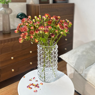简约现代家居装饰水果泡泡造型直筒花瓶多头百合玫瑰绿植玻璃花瓶