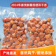 2025年新货新疆阿克苏四团吊干杏500g一杏两吃果干