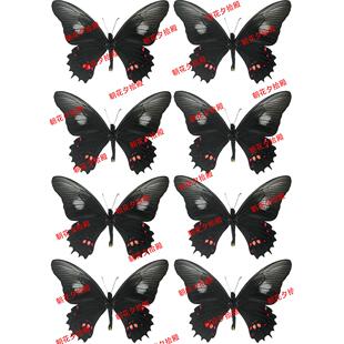 黑蝴蝶打印热缩片A4大小热缩图纸0.2mm可定制