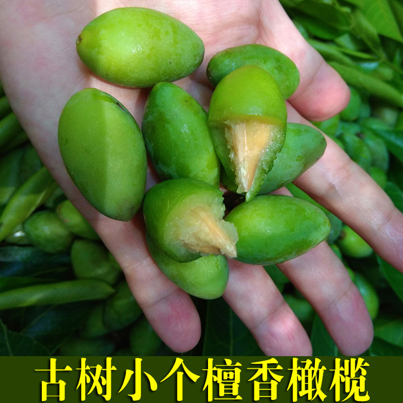 青橄榄 新鲜橄榄包邮福建甜种小其它