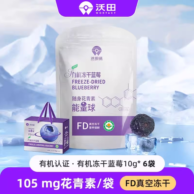 沃田蓝莓冻干鲜果制作