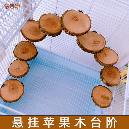 玄凤虎皮原木牡丹鹦鹉