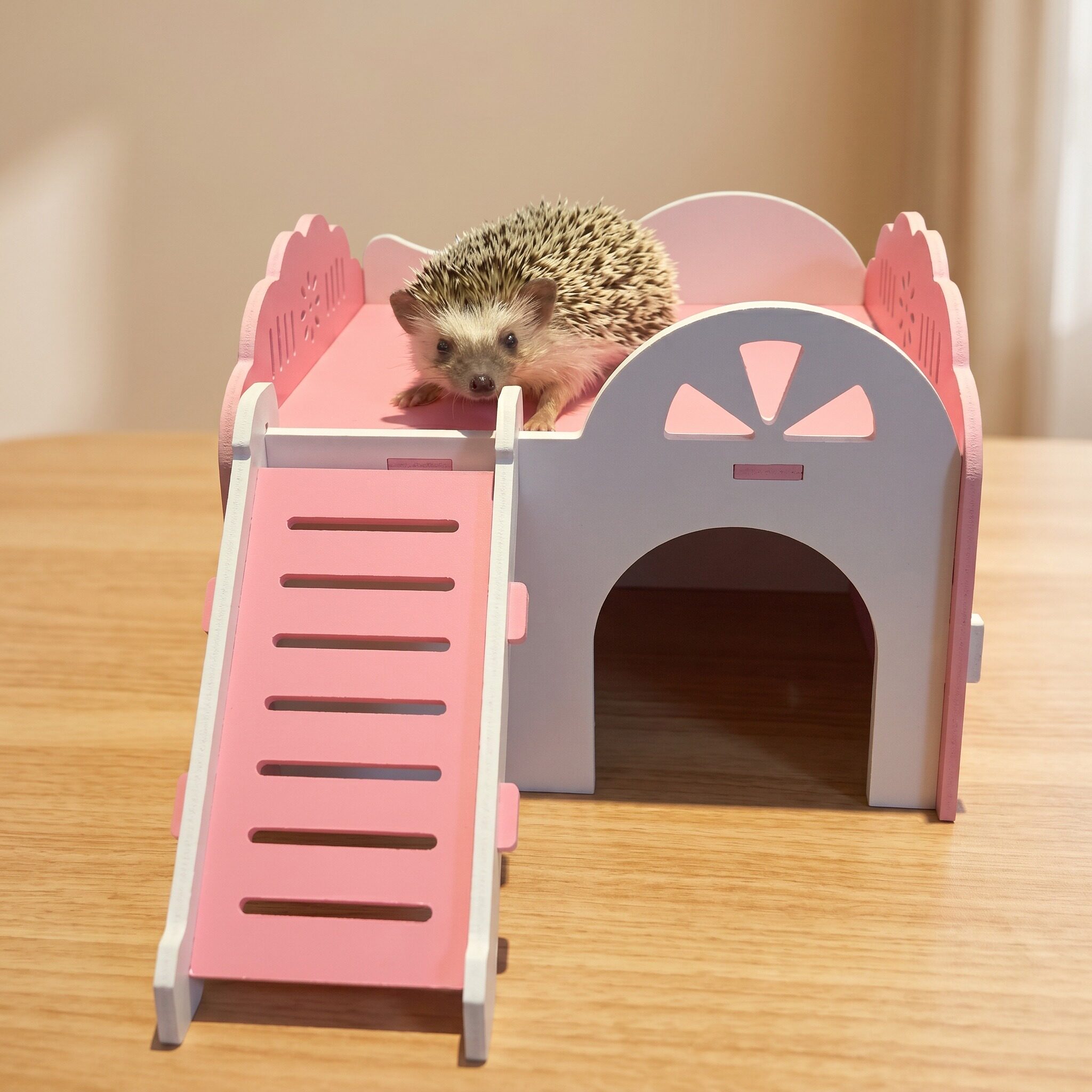 非洲迷你刺猬窝仓鼠豚鼠躲避屋子龙猫松鼠无底城堡小屋大睡房四季