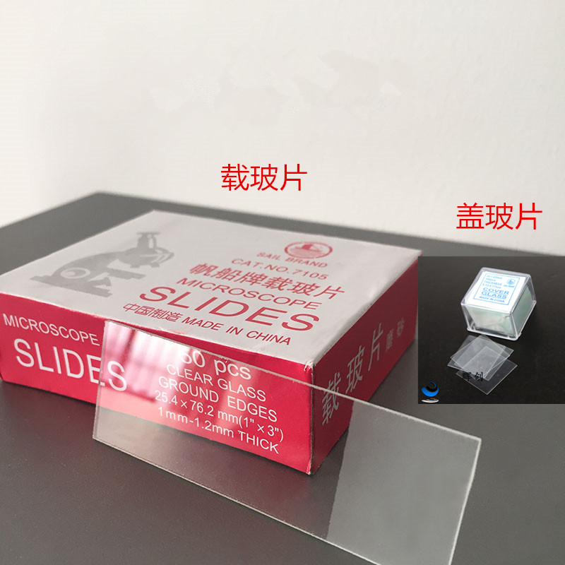 玻璃载玻片盖玻片实验室