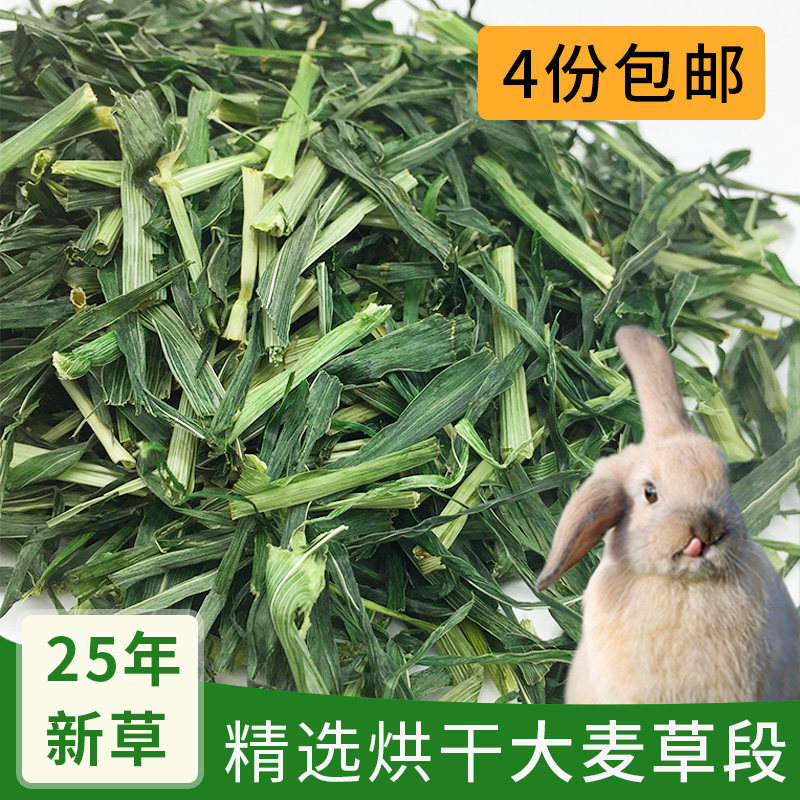 25年大麦草段兔兔龙猫荷兰猪牧草250g粗纤维牧草干草