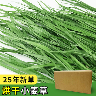 2025年烘干小麦草兔子干草龙猫牧草荷兰猪牧草饲料草料500g