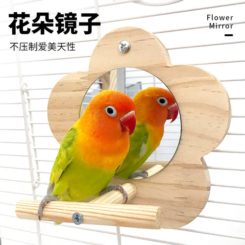 鹦鹉镜子站架趣味实木站杆