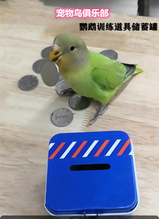 训练鹦鹉道具储蓄罐，适合 牡丹 虎皮玄风 金头凯克 小型鹦鹉