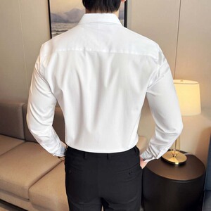 2025秋季新款无痕暗条纹长袖衬衫男休闲A311-CS3083-P68图片