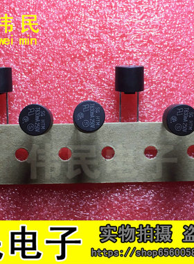 圆柱型保险丝 保险管T630MA250V T630MA 250V 0.63A