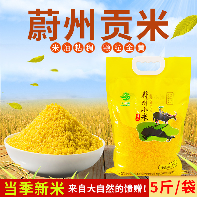 蔚县黄小米贡米5斤/袋